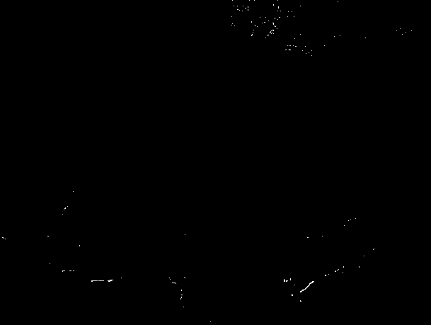 Dendrobium candidum dedicated cultivation substrate and application thereof