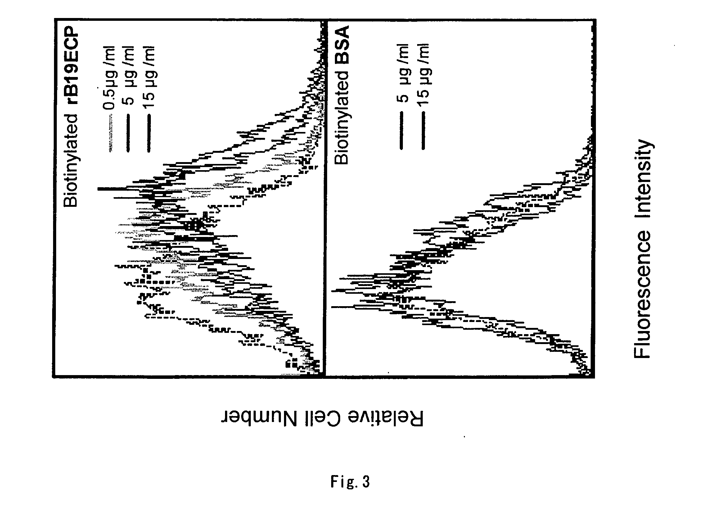 Novel human parvovirus B19 receptor and uses thereof