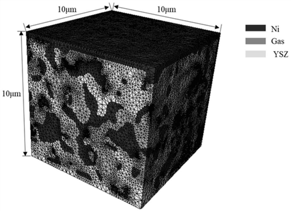 Method for establishing SOFC/SOEC electrode microstructure electrochemical model