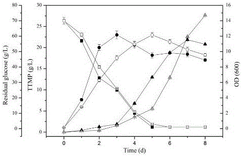 Method for improving output of tetramethylpyrazine produced through fermentation by Bacillus