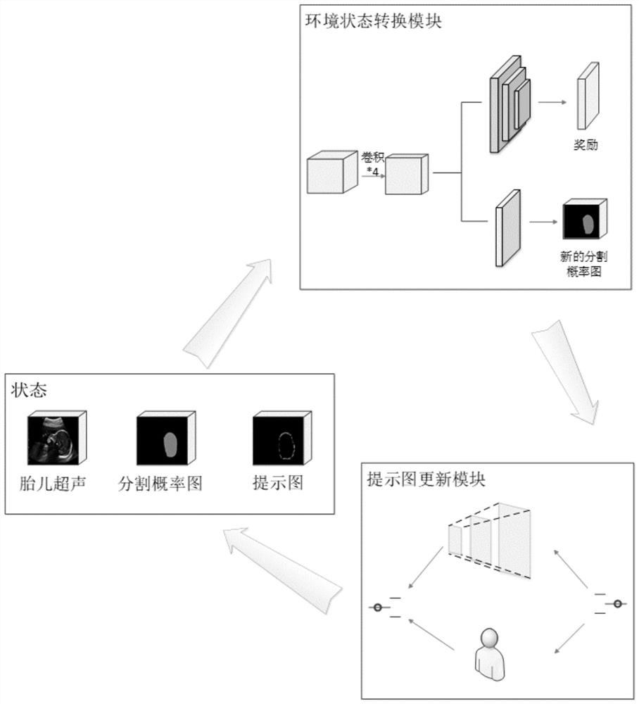 Fetal ultrasound image brain segmentation method based on prior interaction reinforcement learning