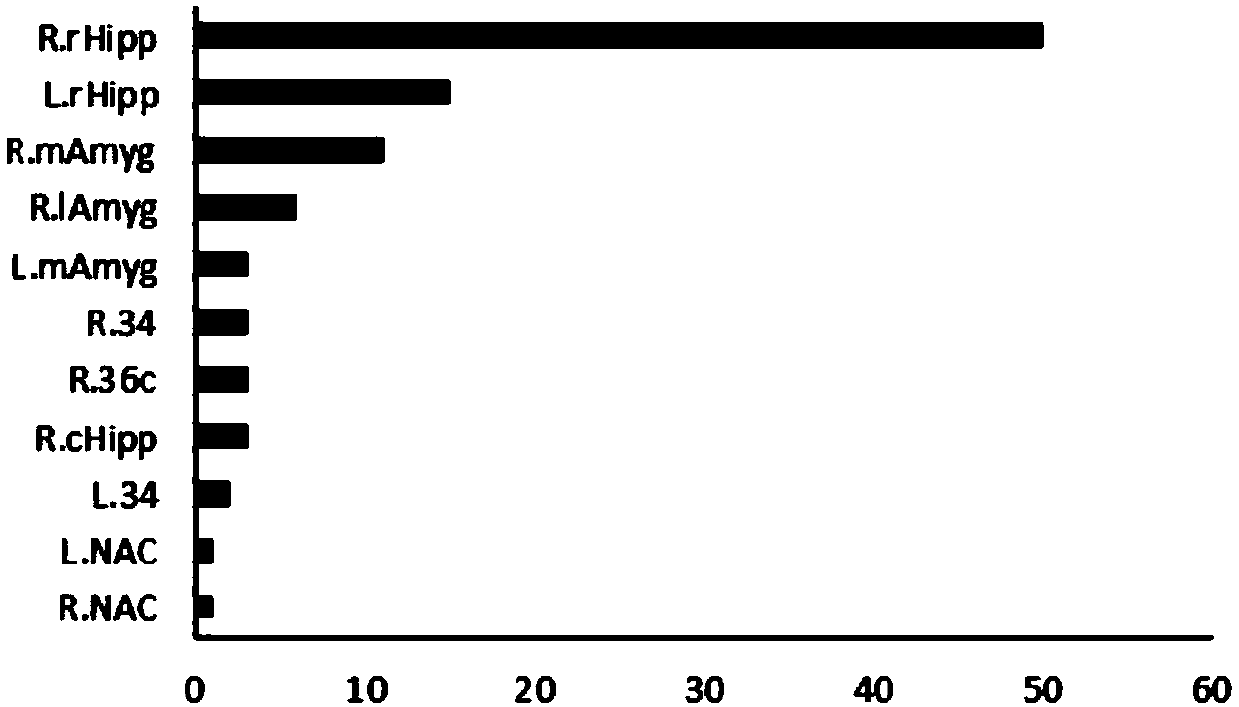 Alzheimer disease determination method and system based on ensemble learning