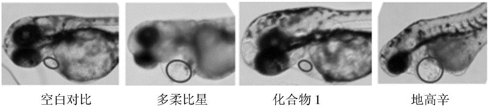 Application of Bufalin-3beta-N-methoxyl-N-beta-D-heteroside in preparing cardiotonic drug