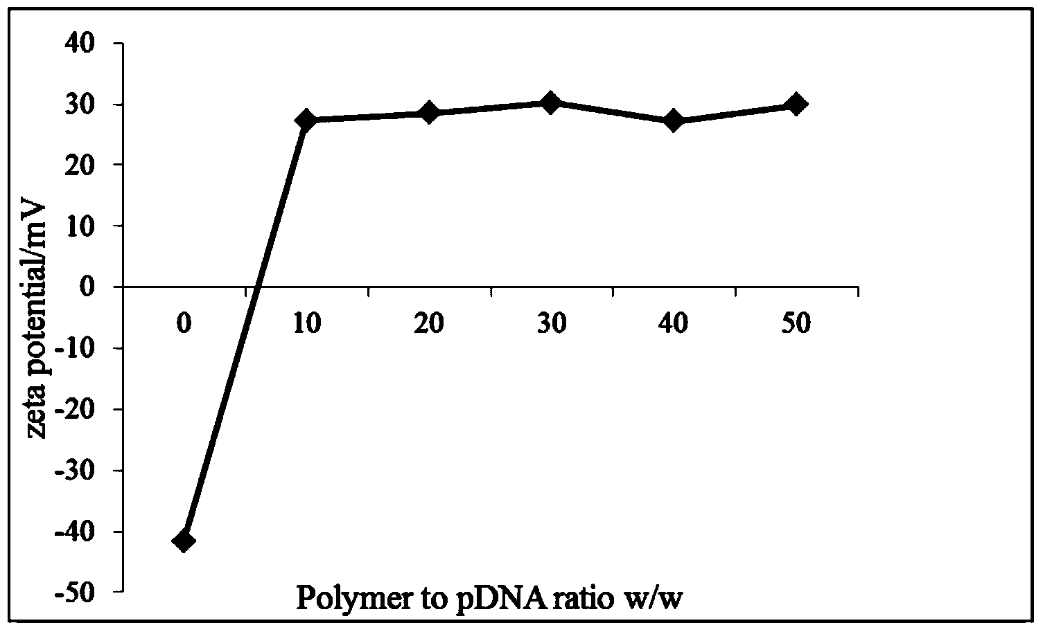 Poly spermine polymer-contained nano-particle, and preparation method and application thereof