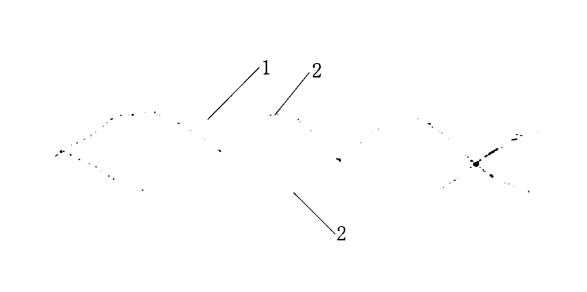 Biodegradable bracket and preparation method thereof