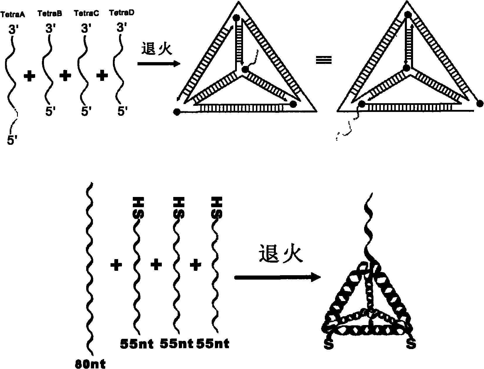 Electrochemical detection method for DNA three-dimensional nanostructure probe