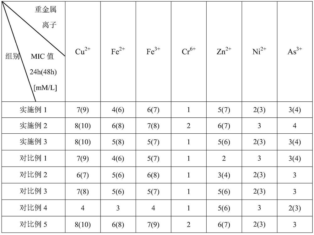 A complex bacterial culture composition resistant to heavy metal ion toxicity and its preparation method and application