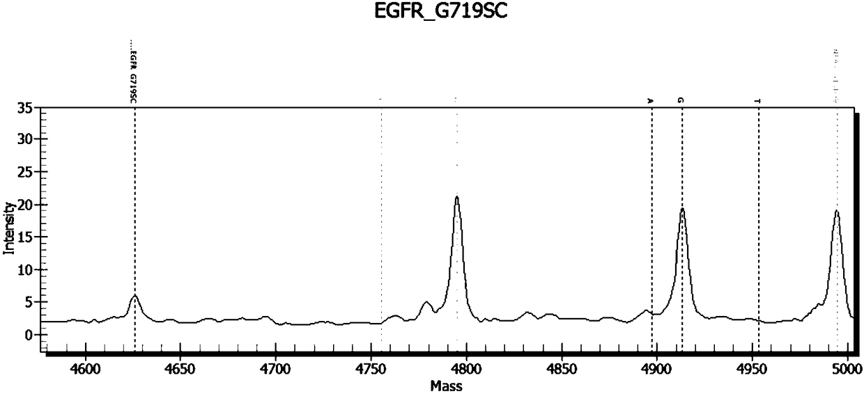 Kit for detecting 34 mutation sites of lung cancer based on MALDI-TOF-MS