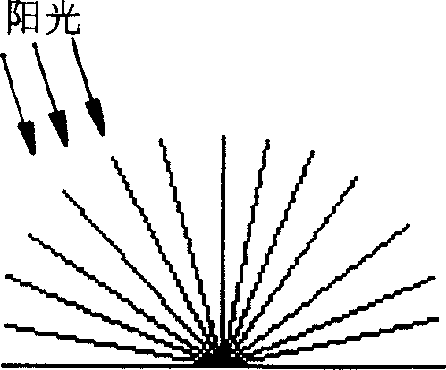 Stereo absorption filament integrated dye sensitization solar cell