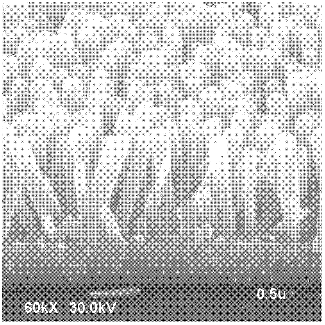 Process for manufacturing micro-lens array with large numerical aperture