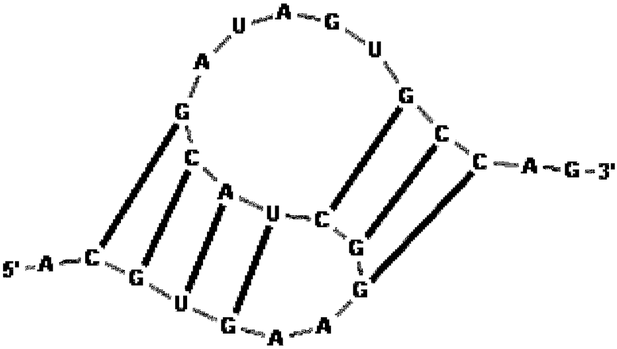 Simulated annealing-based nucleic acid structure prediction method