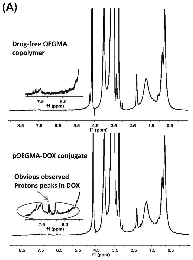 A polymer-antitumor drug conjugate and its preparation method and application