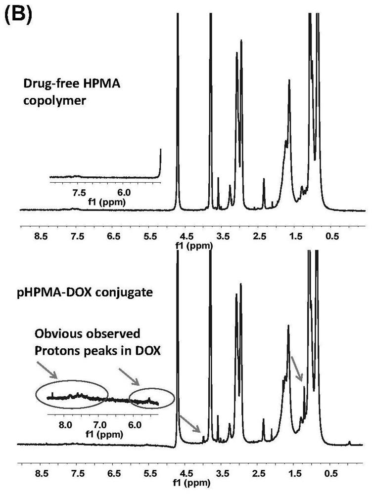 A polymer-antitumor drug conjugate and its preparation method and application