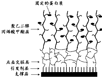 Nonspecific adsorption prevention three-dimensional chip and application thereof