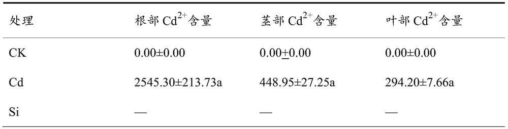 Methyl jasmonate and si  <sup>4+</sup> joint application of