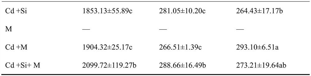 Methyl jasmonate and si  <sup>4+</sup> joint application of