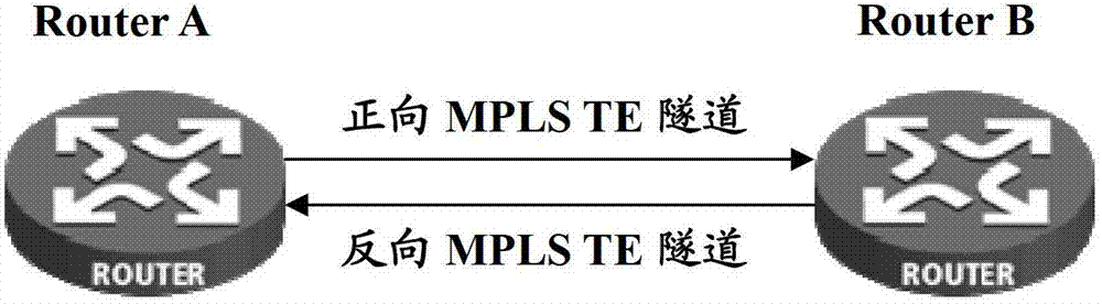 BFD detection method and routing equipment of mpls TE bidirectional tunnel