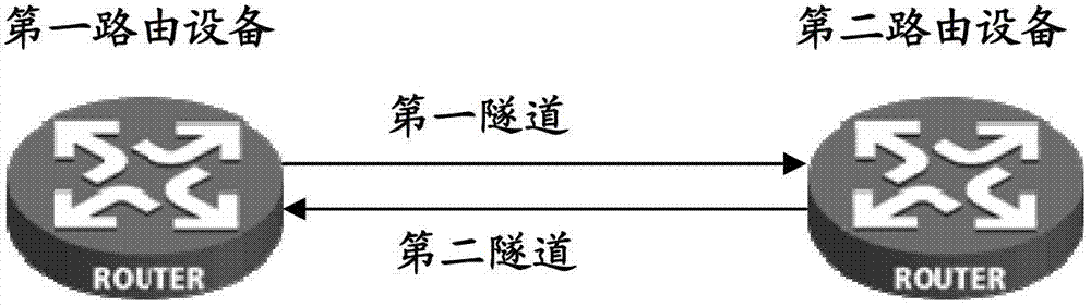 BFD detection method and routing equipment of mpls TE bidirectional tunnel