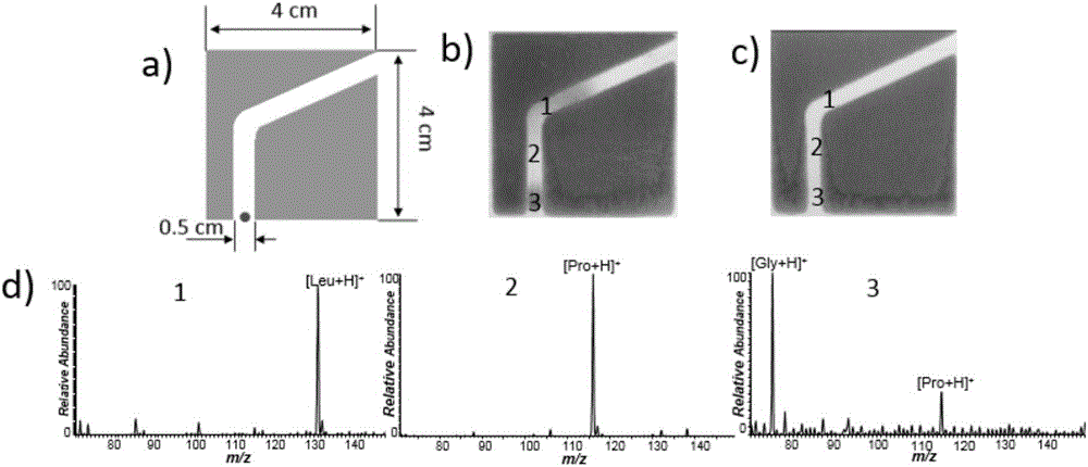 Ionization mass spectrometric detection device and application thereof