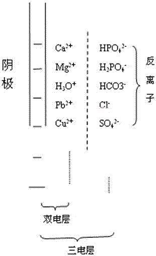 Deep treatment and recycling method for municipal sewage on basis of biochemical and electrolytic technologies