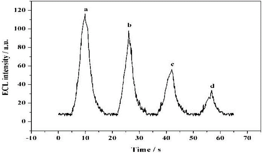 Method for detecting RAC (ractopamine) based on electrical chemiluminescence