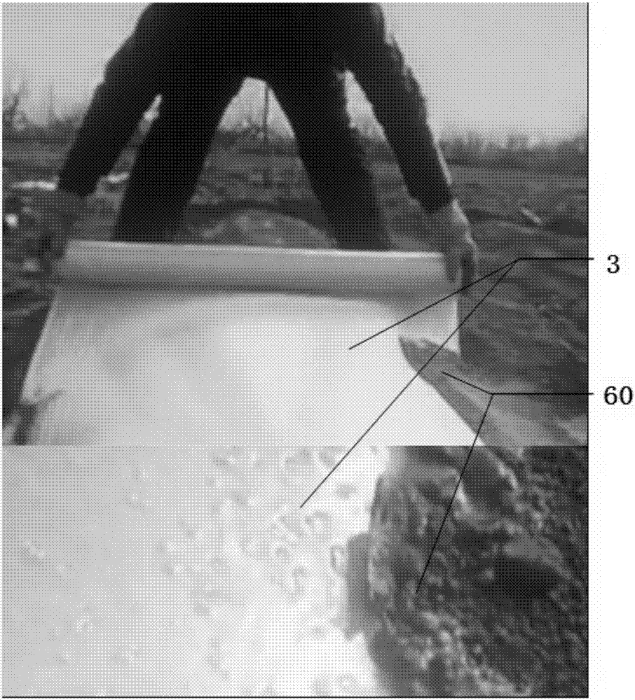 Mulching film covering method for farmland ridge-and-furrow rainwater-harvested planting