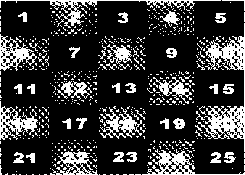 Color filter lens array interpolation method