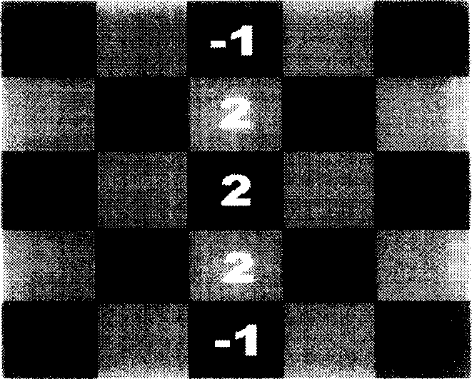 Color filter lens array interpolation method