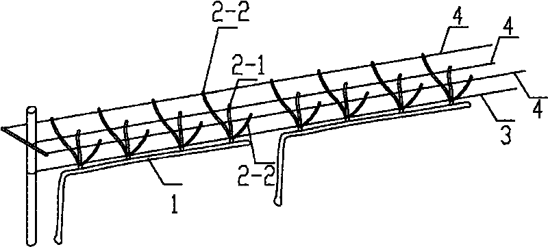 Trellis type grape cultivation method