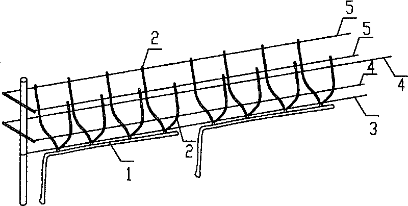 Trellis type grape cultivation method