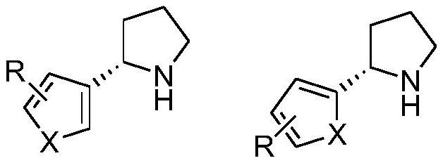 A kind of method for preparing (s)-2-(3-pyridine)-pyrrolidine