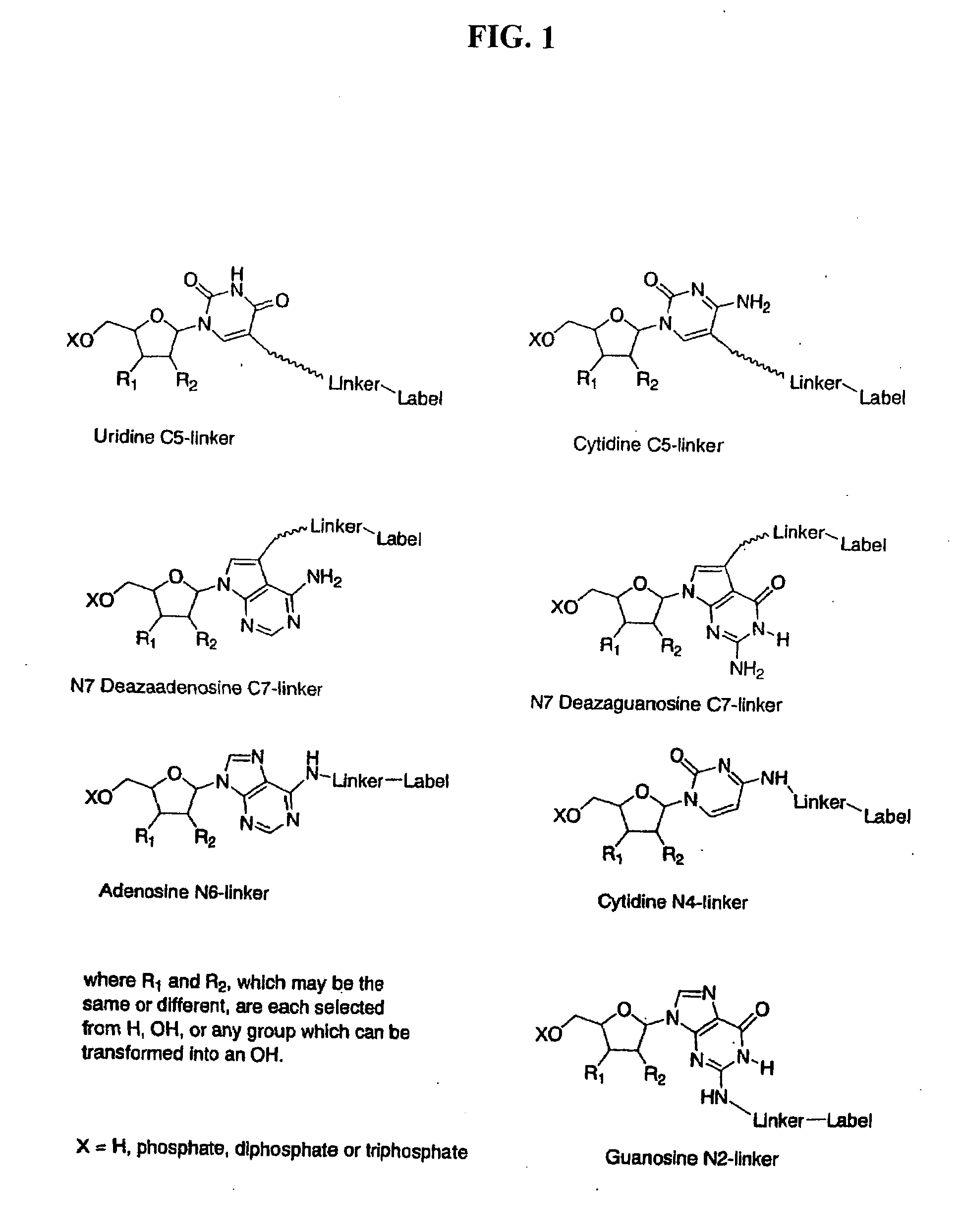 Labelled nucleotides