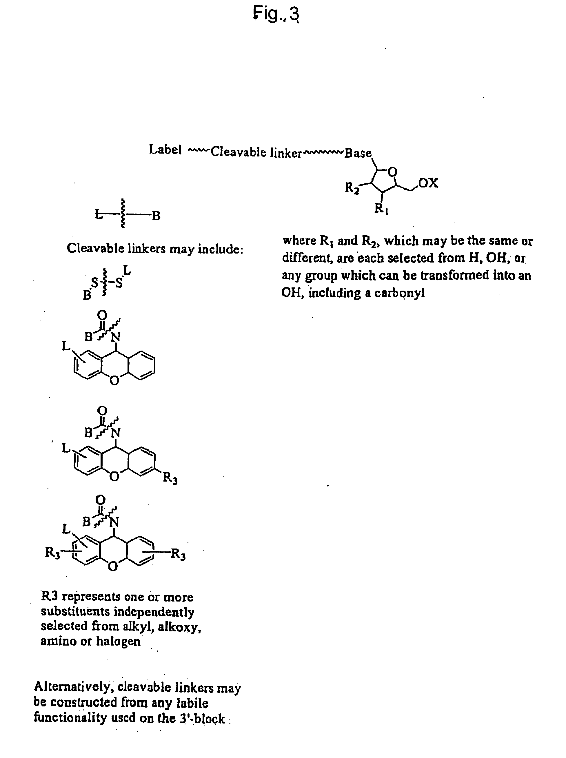 Labelled nucleotides