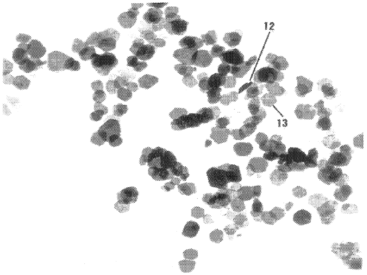 Base metal particles having anisometric morphology