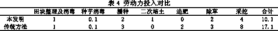 Double-row strip planting secondary ridging cultivation method of amorphophallus