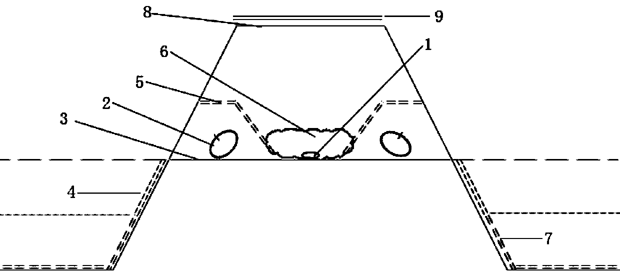 Double-row strip planting secondary ridging cultivation method of amorphophallus