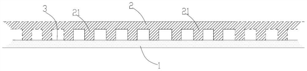 Capture chip for neuroblastoma circulating tumor cells and manufacturing method thereof