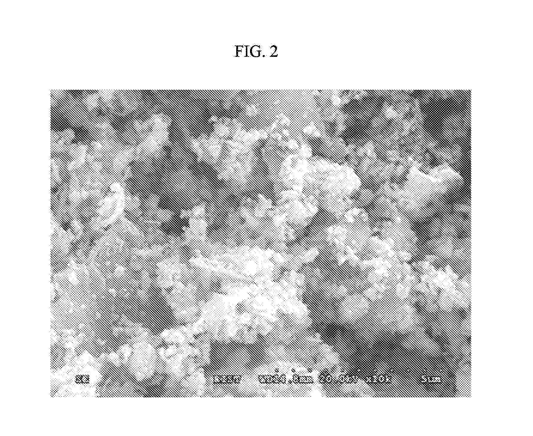 Method for Manufacturing Composite Ceramic Material