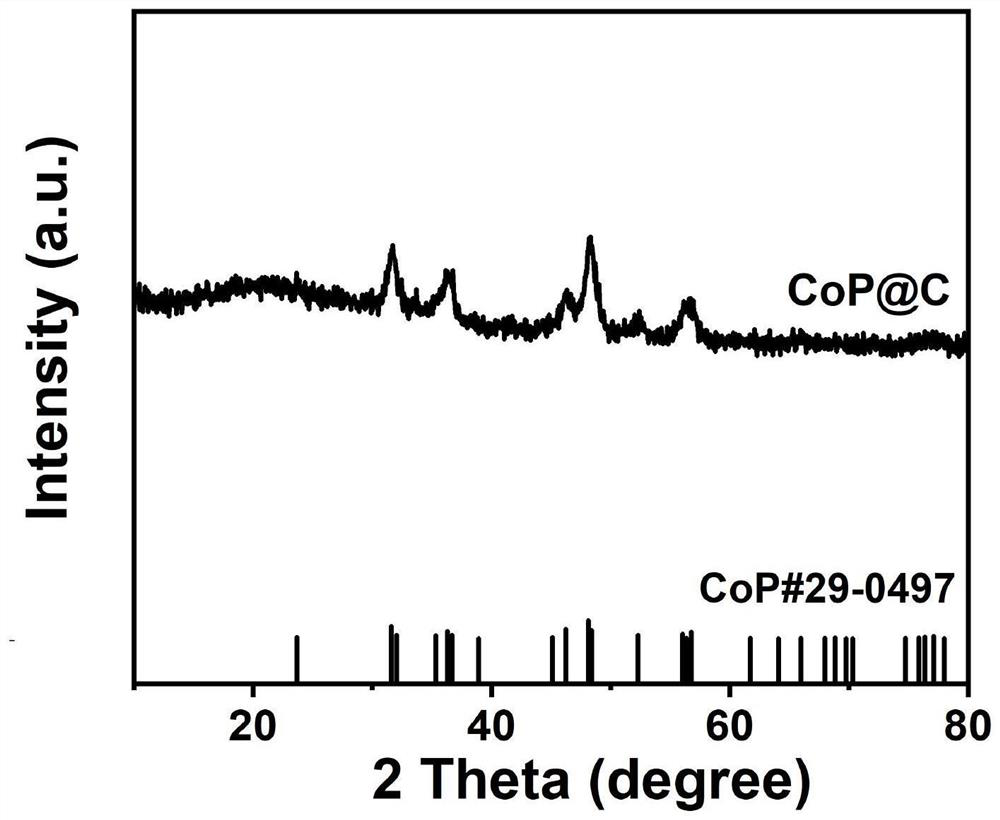 Carbon-coated two-dimensional transition metal phosphide and preparation method and application thereof