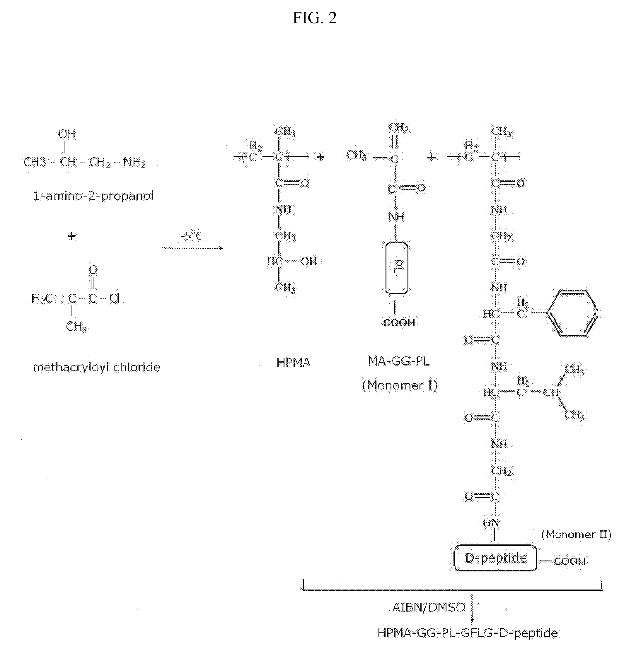 Stereoisomer Peptides and Their Polymer Conjugates for HIV Disease