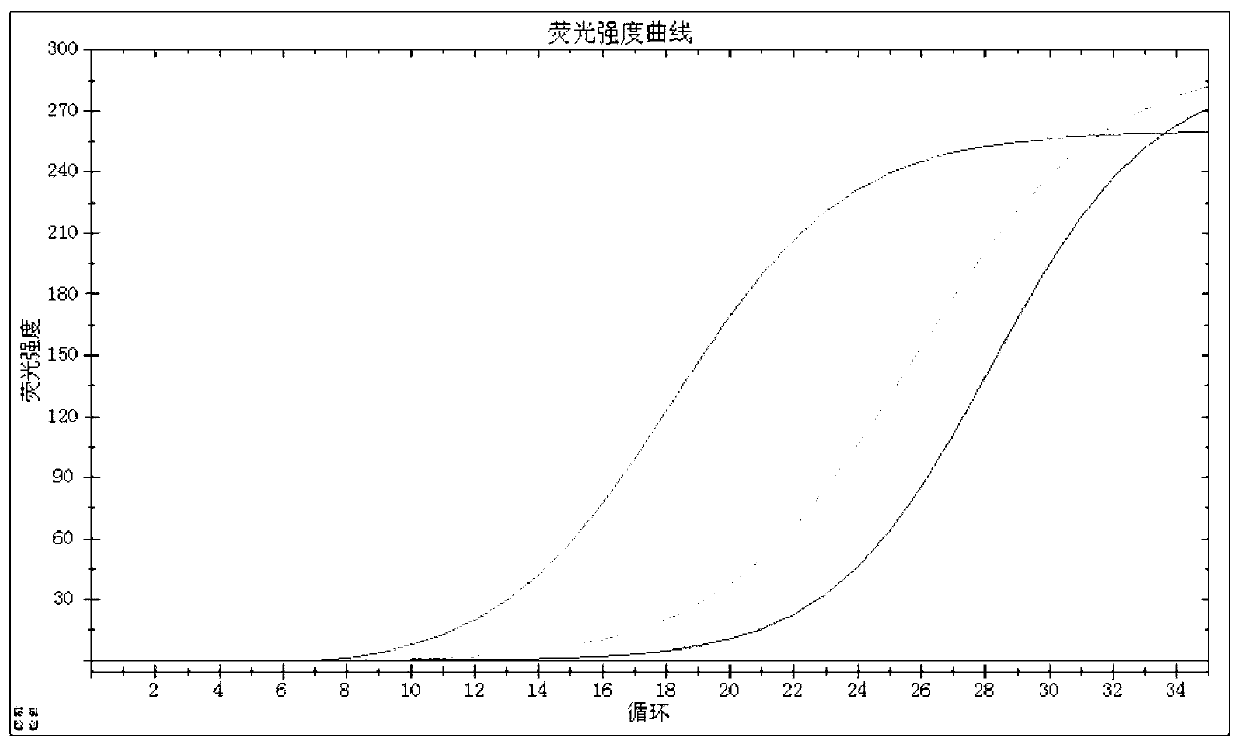 Primers, probe, detection method and kit for PCR-fluorescence detection of human papilloma virus types 16 and 18