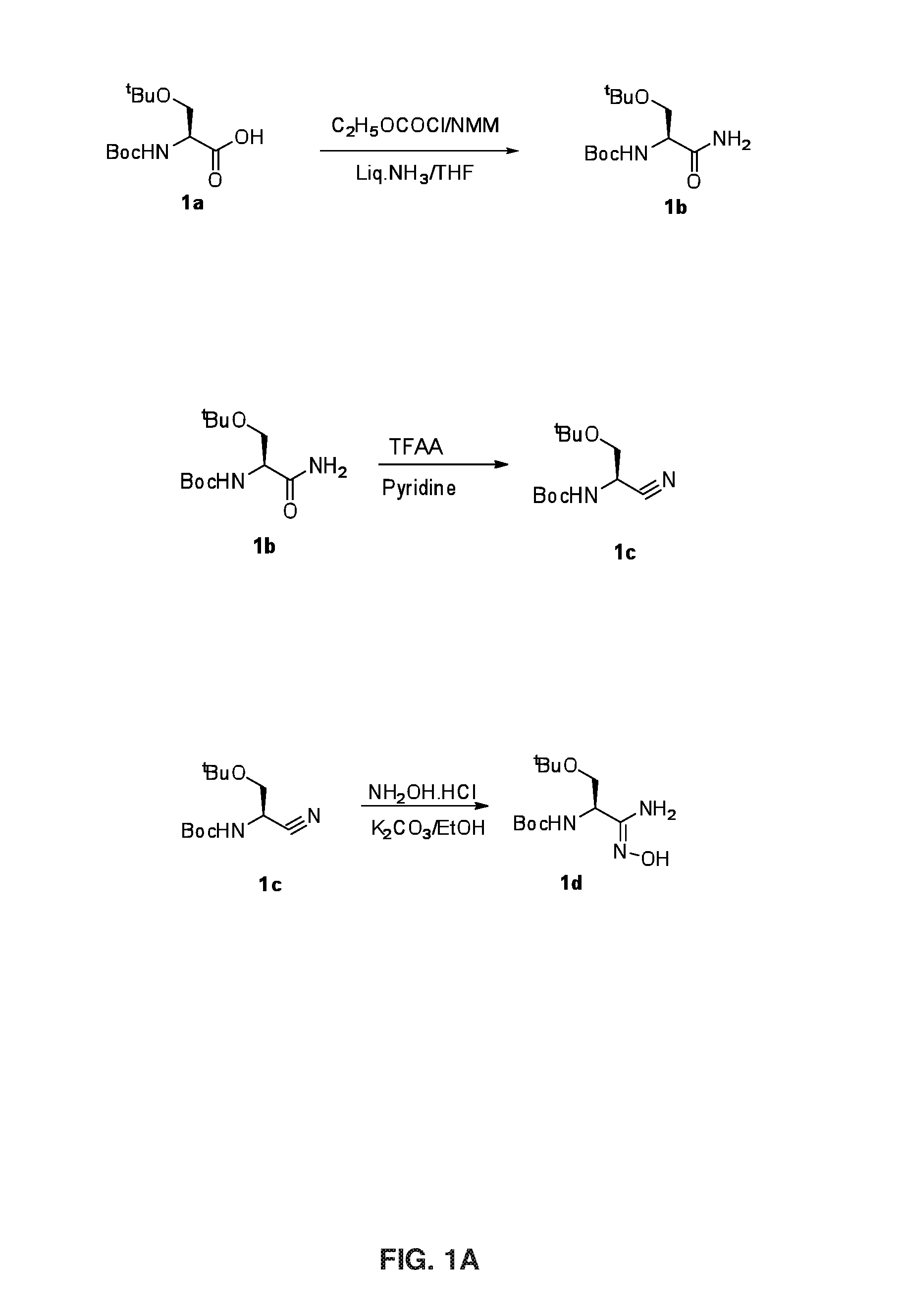 1,2,4-Oxadiazole Derivatives as Immunomodulators