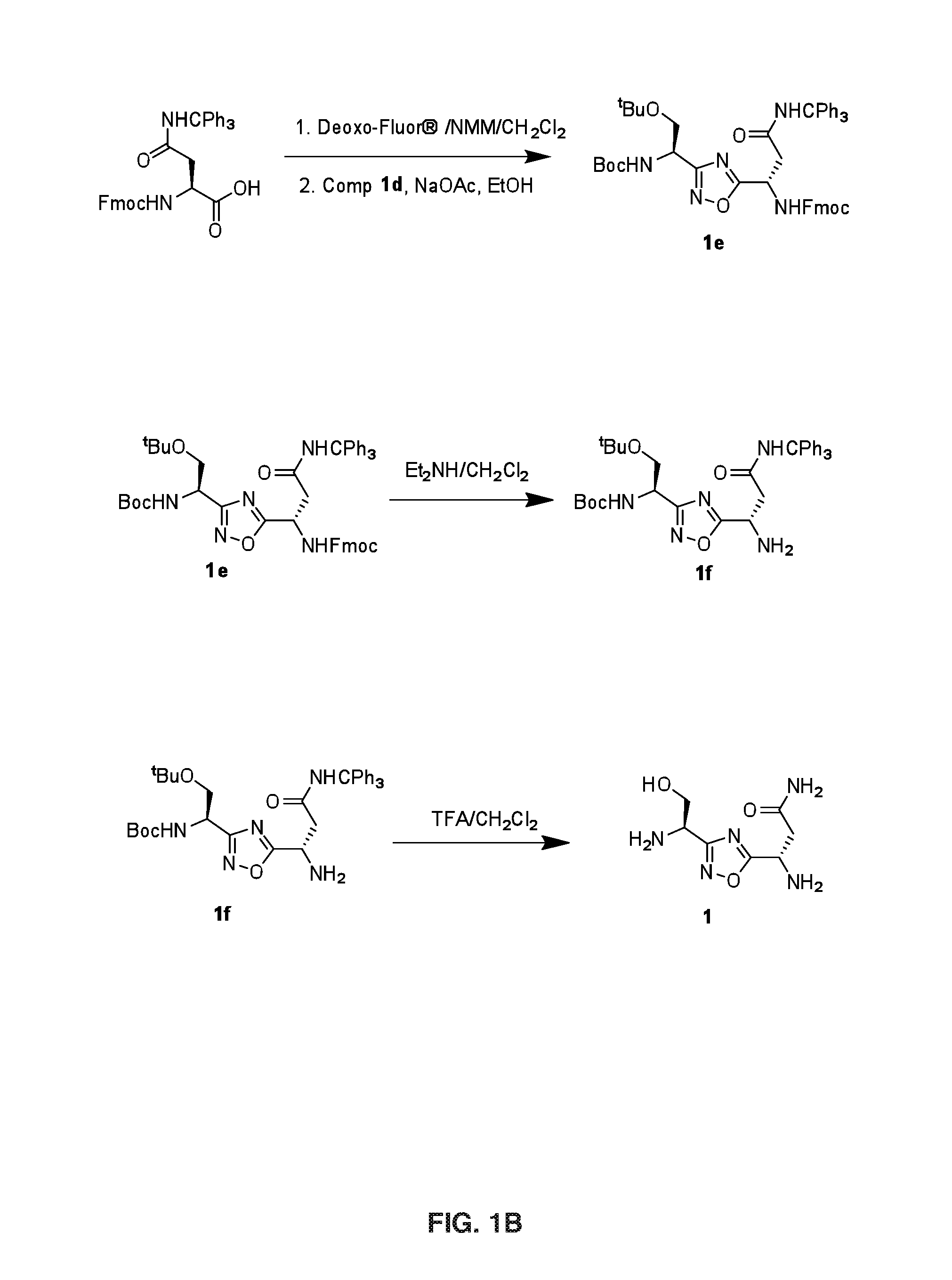 1,2,4-Oxadiazole Derivatives as Immunomodulators