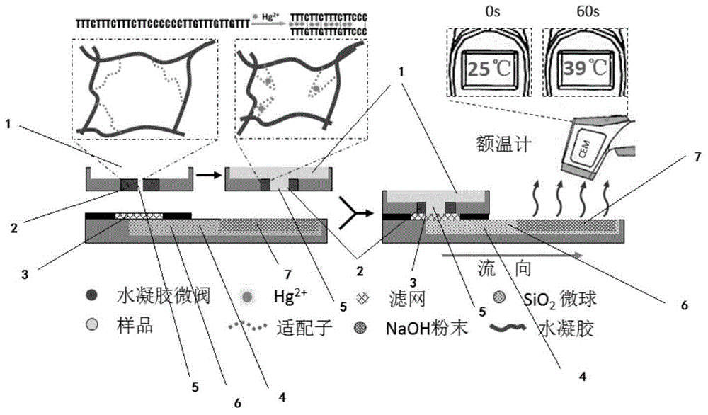 Quantitative detection system, and preparation method and application method for mercury ion detection chip