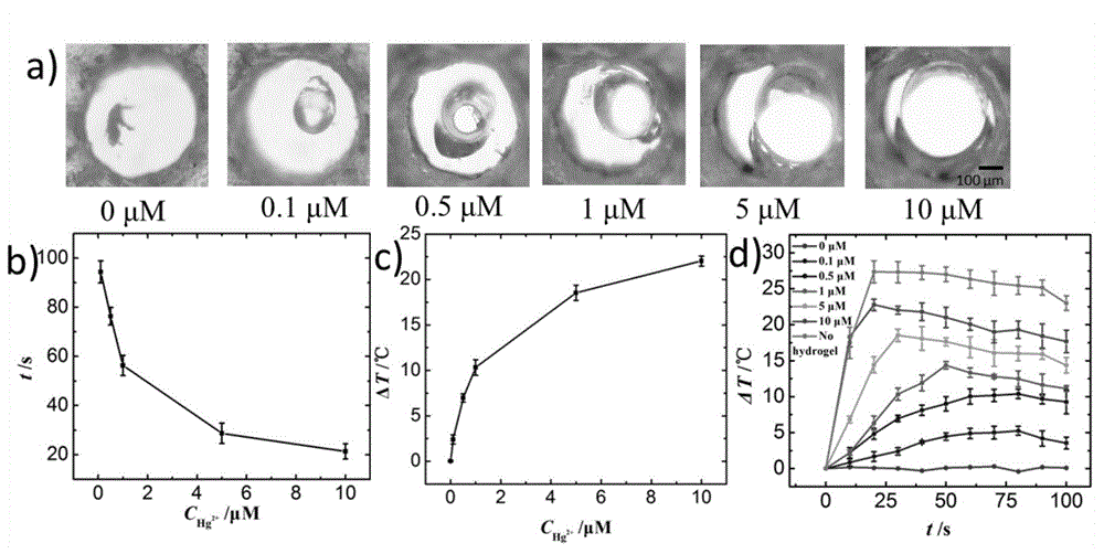 Quantitative detection system, and preparation method and application method for mercury ion detection chip