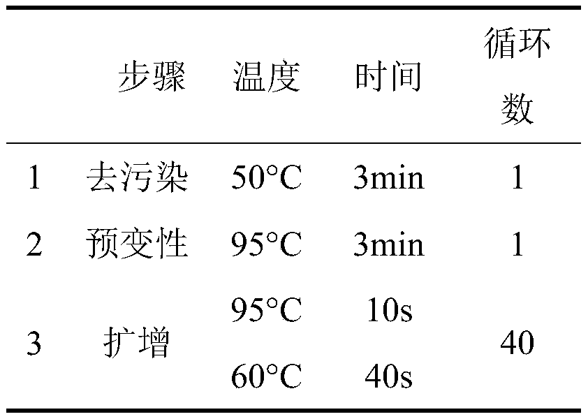 A 16-unit nucleic acid typing kit for bovine mastitis pathogenic bacteria and its detection method