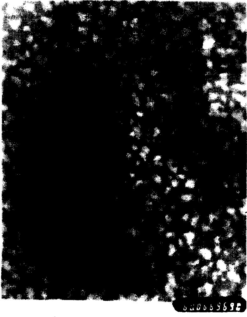 Tetrandrine solid lipide nano particle and its preparing method