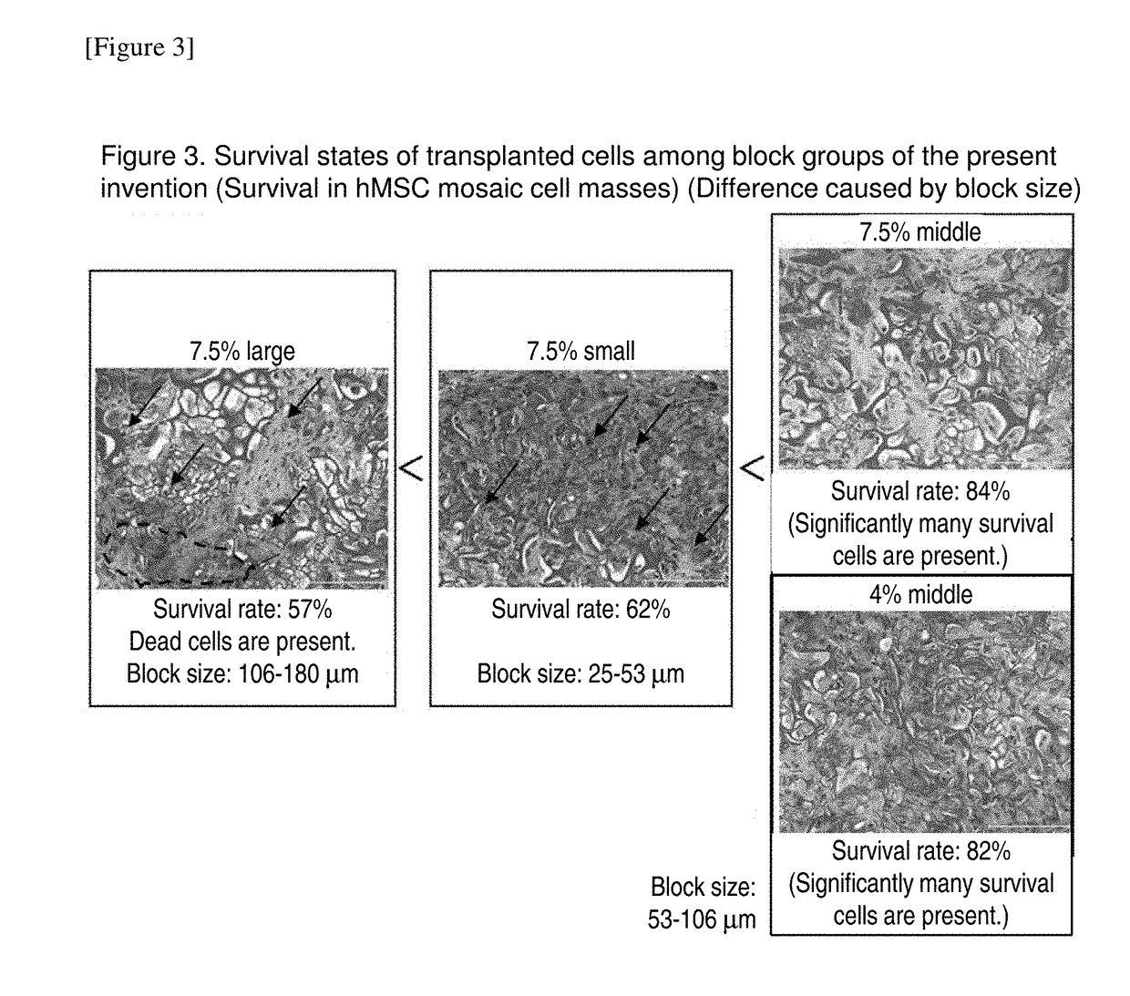 Cell construct for cell transplantation, biocompatible polymer block, and method for producing the same