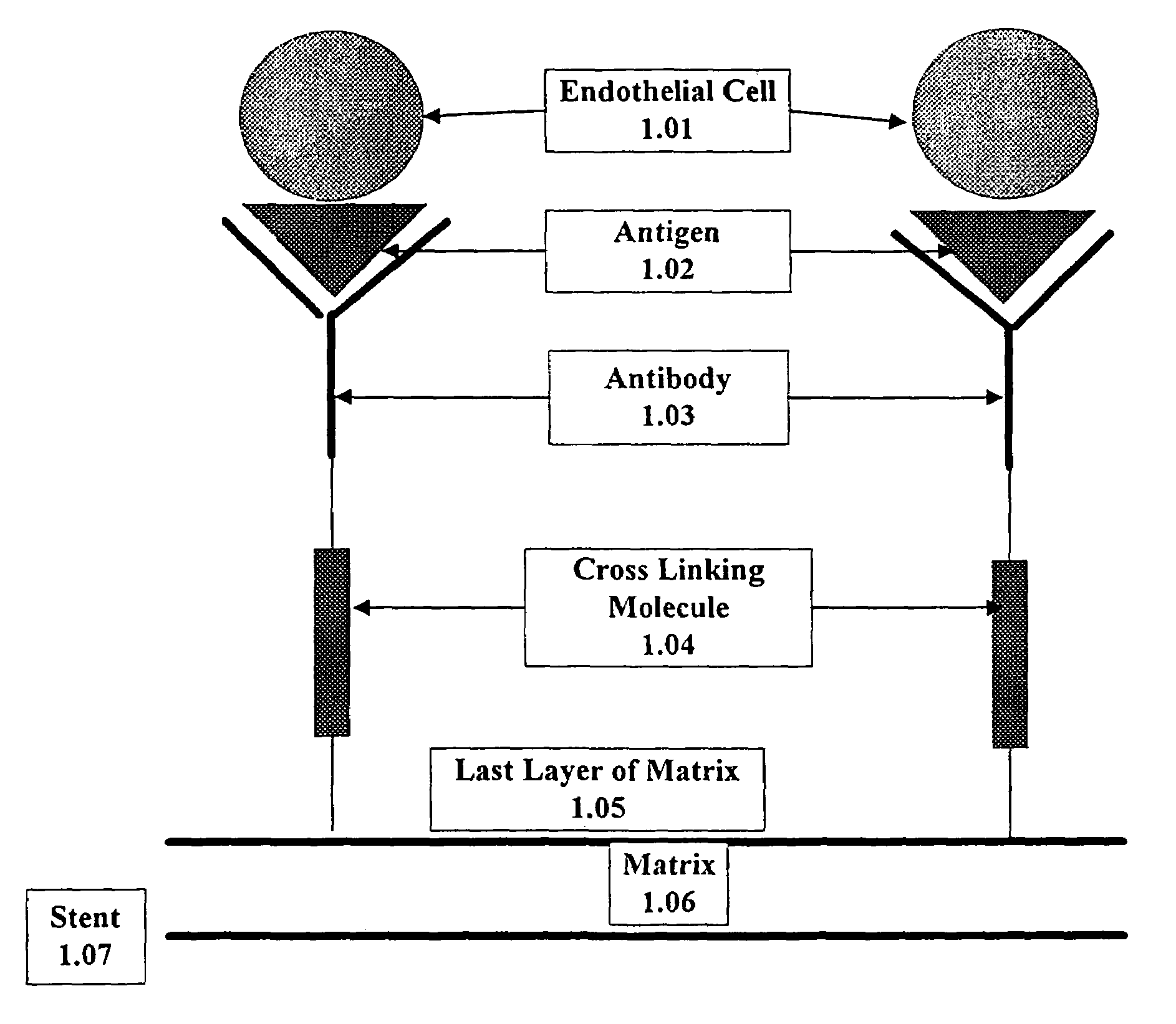 Medical device with coating that promotes endothelial cell adherence