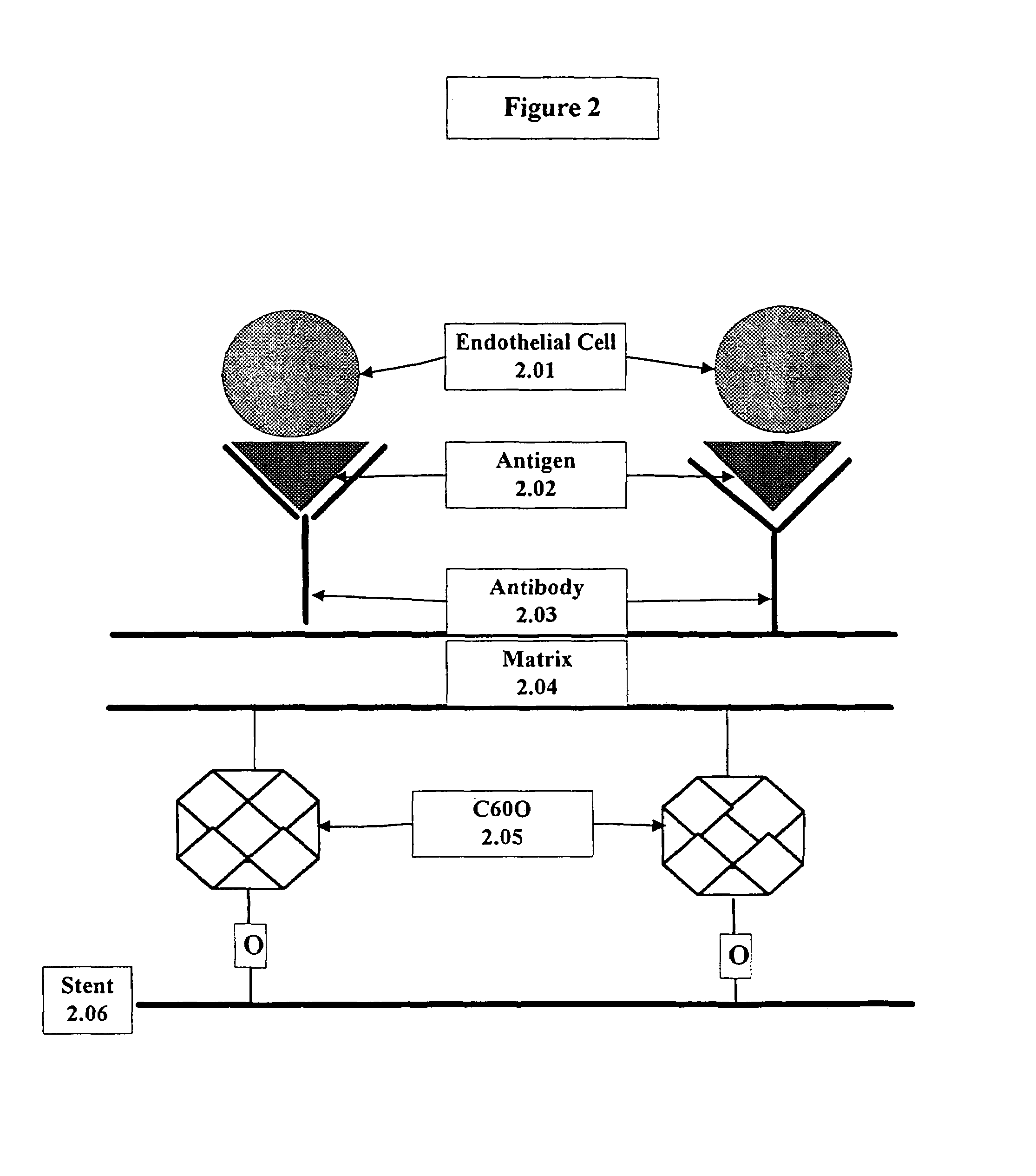 Medical device with coating that promotes endothelial cell adherence